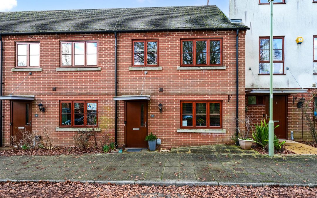 Moths Grace, Basingstoke