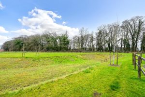 Linseed Way, Basingstoke