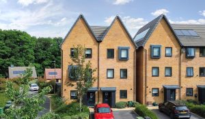 Brassie Close, Basingstoke